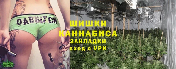 ГАЛЛЮЦИНОГЕННЫЕ ГРИБЫ Балахна